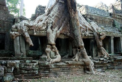 Temple de Preah Khan (l’Épée Sacrée) - Angkor - Cambodge (Scan de photos papier)