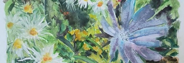 Aquarelle, meli melo de fleurs