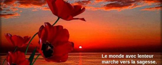 Le monde avec lenteur ...
