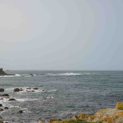 29 ... (et plus) : Un reportage un peu ... vague !