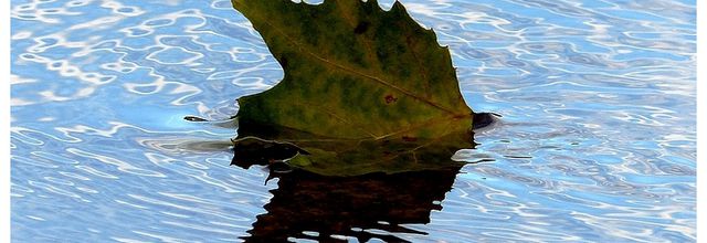 Metz / Destins d'automne...