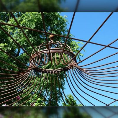 Au jardin chez Mary et Joël ( 3 )