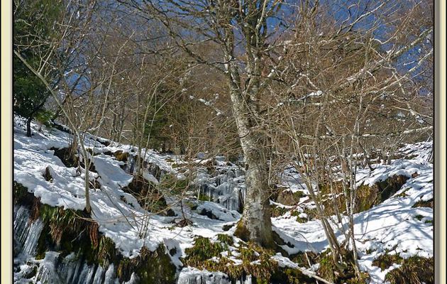 Paysages des Pyrénées (Année 2010)