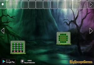 Big Dark green fantasy forest escape soluce