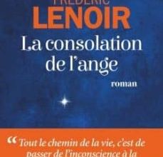 LA CONSOLATION DE L ANGE leer epub gratis