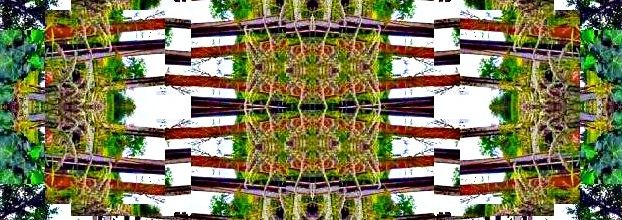 Photos@Marc.mz / Les cardres de bois...