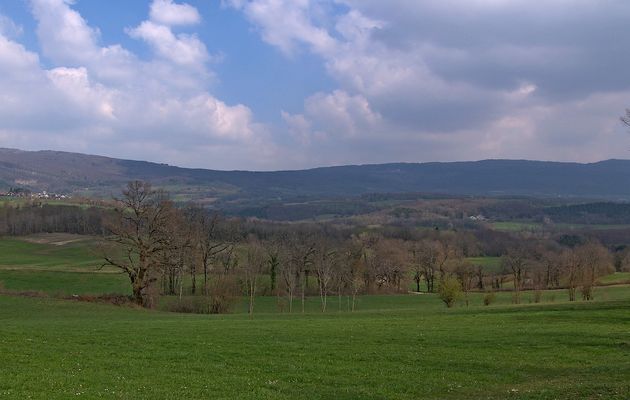 Le 12 avril 2019 : Autour de chez moi - 1