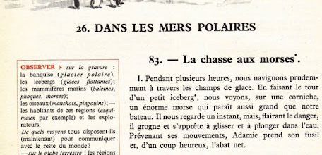 Dumas CM S26 Dans les mers polaires