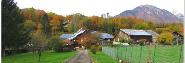 PAYSAGES D'AUTOMNE 2020
