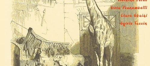 Le Talisman de la Girafe