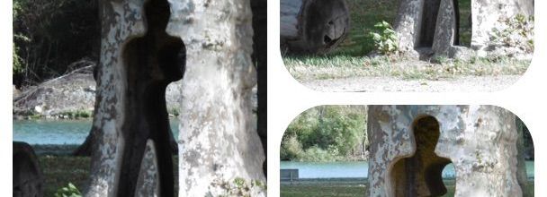 Arbre et silhouette (A & A et Cie n° 81)