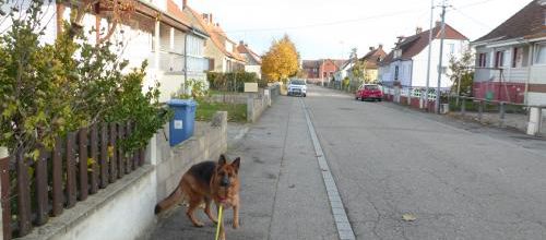 La balade 