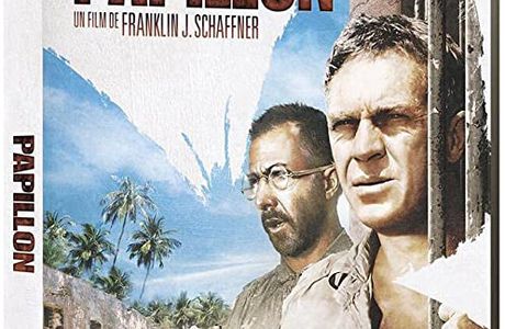 Approche du film : Papillon!