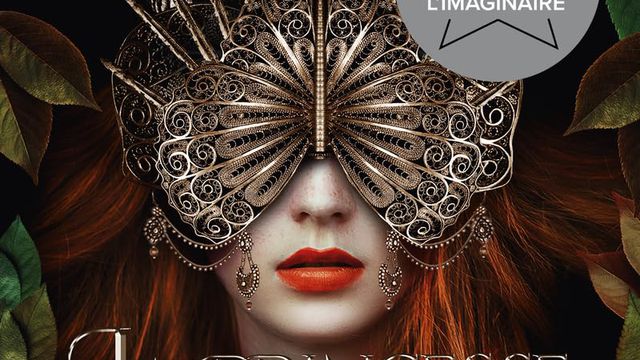 Les Royaumes Immobiles Tome 1: La Princesse sans visage "Fantasy"