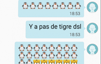 Etat lamentable ...