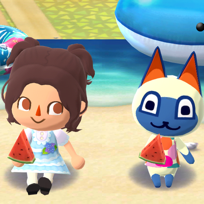 Activité estivale au camping