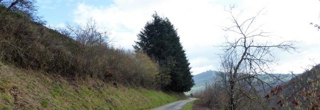 Les biquettes du Vanel..