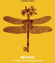 [PDF] Bezoar: And Other Unsettling Stories download