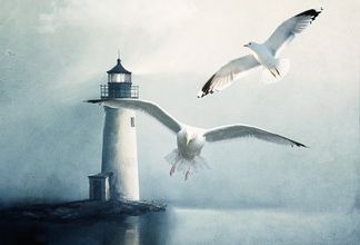 Le monde d'Ingrid ... 