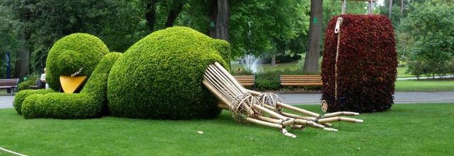 L'été au jardin des plantes  à  Nantes  (1)