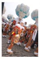 Coucou les amis Belges.     Carnaval de Binche