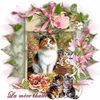 La Mère chatte de Colette !
