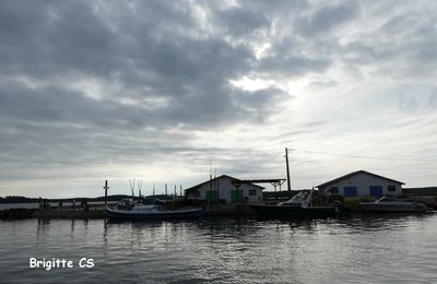 Le port ostréicole à Arès et les peintres...