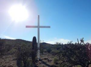 Dans le désert de l’Arizona, de belles pousses - E&E