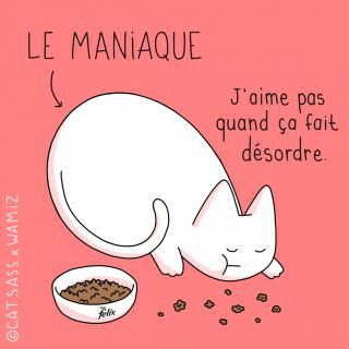 Personnalités de chats.