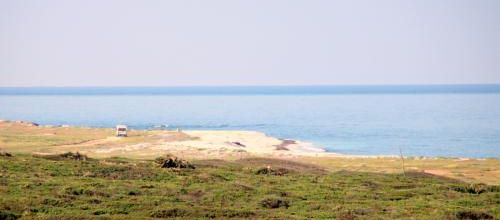 Lundi 02 au Dimanche 08.05 + Bonus