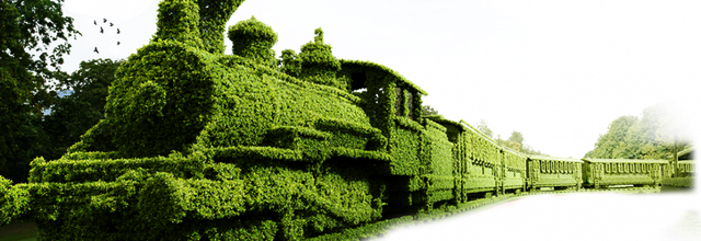 Ѽ Vegetation