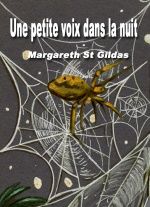 Une petite voix dans la nuit