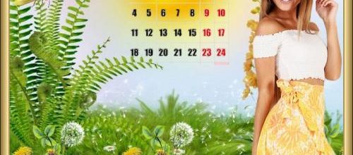 Mon calendrier 