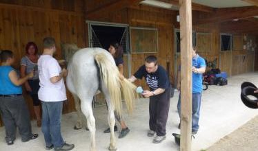 A cheval !