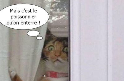 C'est pas possible .....