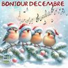 bonjour a vous   !!