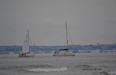 Calvados : été 2018 : Trouville-sur-Mer : Les voiliers
