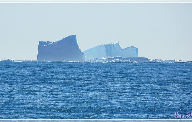 Les passagers remontés à bord, les Zodiacs remisés sur le pont supérieur, nous naviguons vers Grytviken - Géorgie du Sud