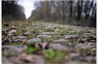 🚴 Découvrez la véloroute (V65) Paris-Roubaix .