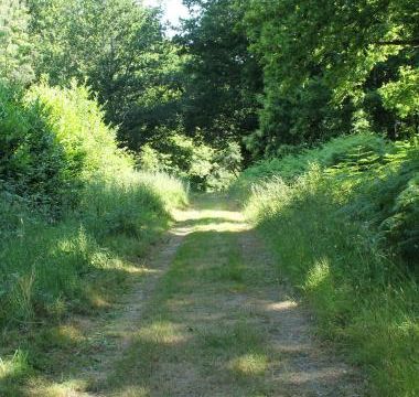 Bord de Vilaine