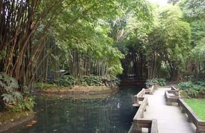 Un monde en miniature (Chengdu)