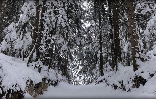 Le Golet Sapin