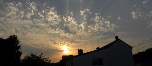 Canicule: que manger et boire?