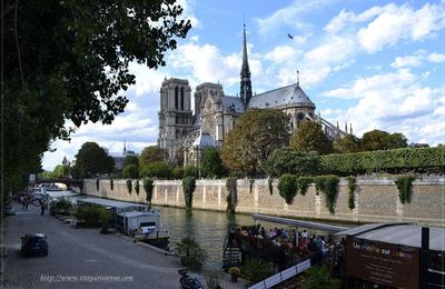 Crue de la Seine 2018 - Photos du 4 février 2018 ... Suite
