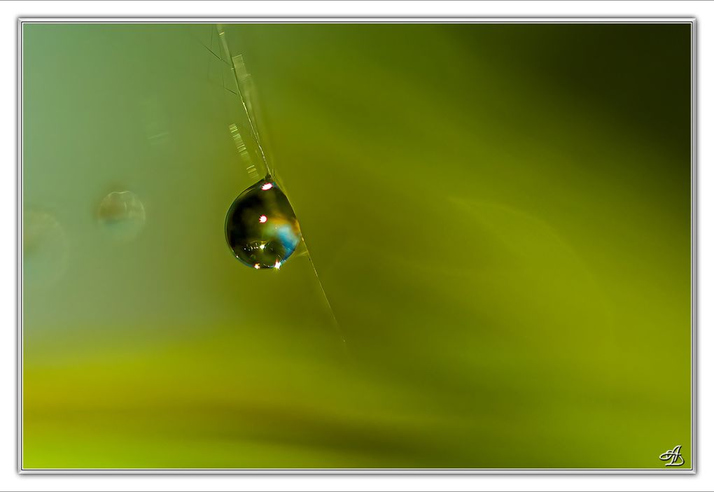 02 - Gouttes d'eau
