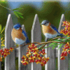 L'Automne et les oiseaux ! cartonnettes 2017