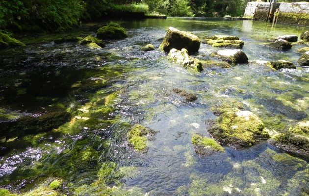 Suite de la ballade à la Source du Doubs