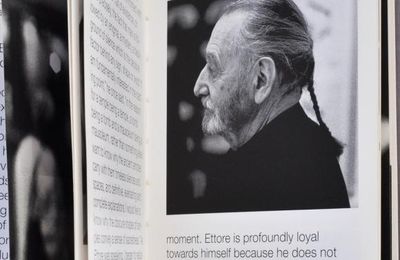 AVEC ETTORE SOTTSASS-TRAVERSE FORMALISE  SENSIBILISE  CRISTALLISE COPULE  PRÉSENTE 