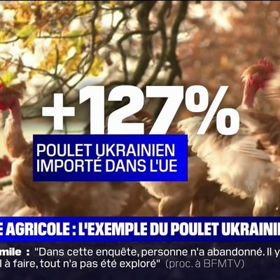 On  ne  parle   pas   beaucoup