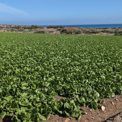 Balades autour de Aguilas 